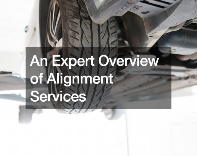 An Expert Overview of Alignment Services